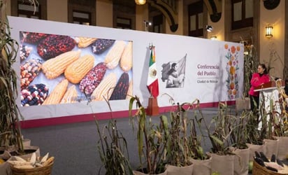 Productores de maíz 