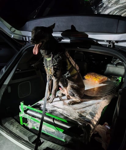 libertad : Durante la audiencia inicial, la defensa presentó un video en el que se observa que las mujeres fueron extraídas de una casa libertad : Durante la audiencia inicial, la defensa presentó un video en el que se observa que las mujeres fueron extraídas de una casa