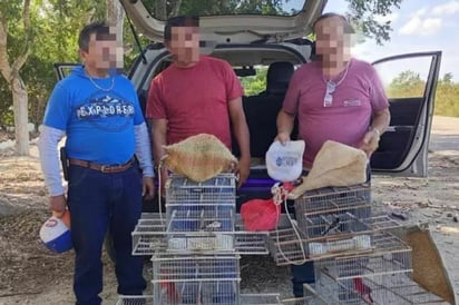 Caen tres hombres con aves en peligro de extinción en carretera de Yucatán