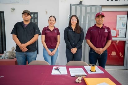 Esterilización canina gratuita