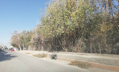 La “Ola Monclovense” mantiene limpieza y saneamiento en espacios públicos