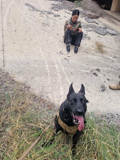 migrantes : Durante el operativo, el perro adiestrado siguió el rastro y logró localizar a dos individuos.