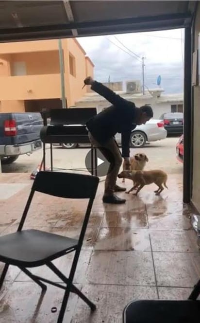 Mata perros : La prescripción del caso no se hizo efectiva.