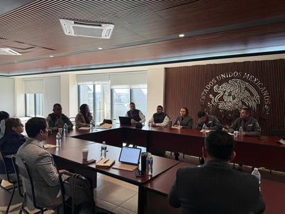  Estrategias para flujo de puente Internacional