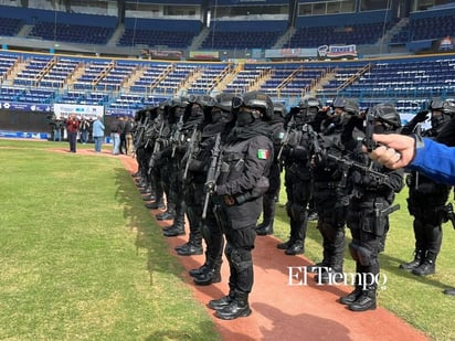 corporaciones de seguridad 