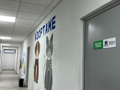 crematorio para mascotas