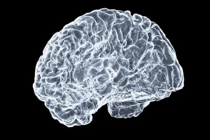 El cerebro humano cambia más de lo que creíamos