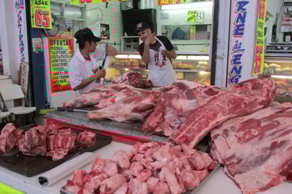 Gusano barrenador Gusano barrenador