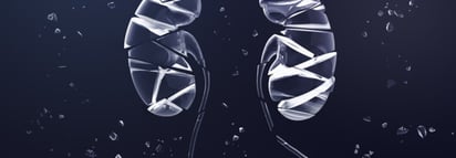 Diabetes en México y daño renal: el riesgo que va más allá de la glucosa