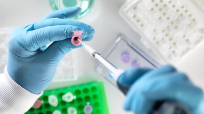 ENFERMEDADES ENFERMEDADES