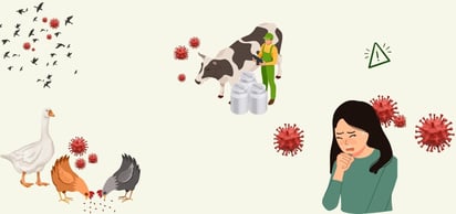 ENFERMEDADES ENFERMEDADES