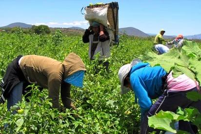 Ley de Aguas Ley de Aguas