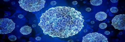 México ante H3N2: Las 3 claves para distinguir virus respiratorios