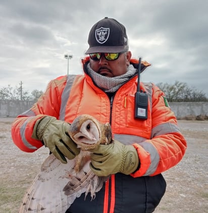 Embellecimiento Embellecimiento