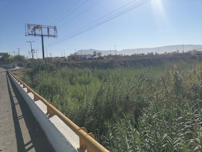 Rellenos irregulares