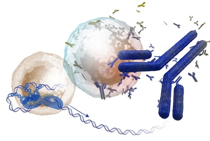 ENFERMEDADES ENFERMEDADES