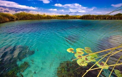 proyección turística