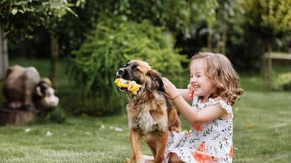 Los perros superdotados pueden aprender palabras escuchando conversaciones familiares