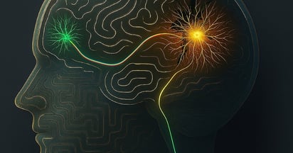 ENFERMEDADES ENFERMEDADES