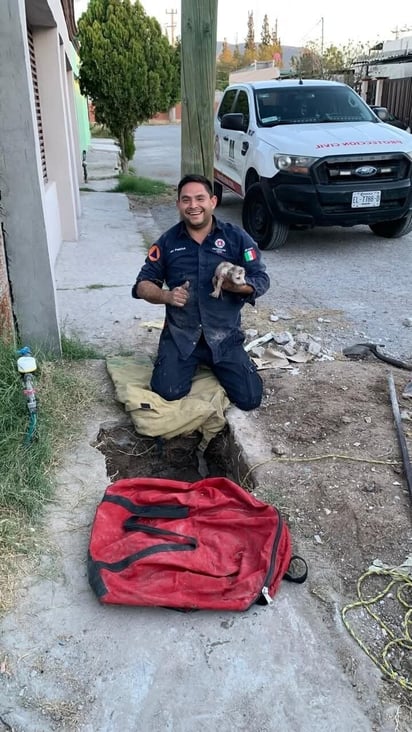 Seguridad
