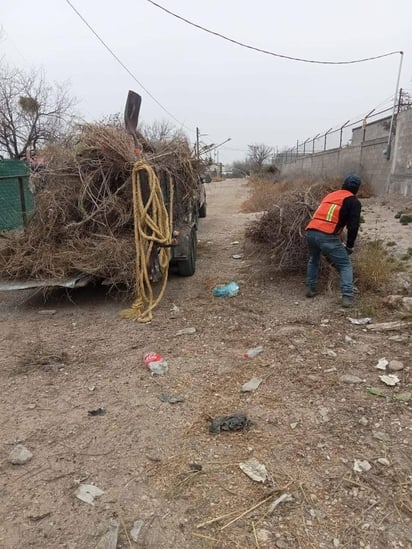 Realizan labores de limpieza y desmalezado en vialidades de Nava