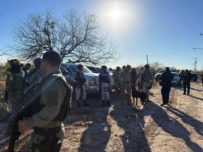 aseguramiento : Uno de los aseguramientos se realizó tras un cateo ejecutado en el ejido El Centinela.
