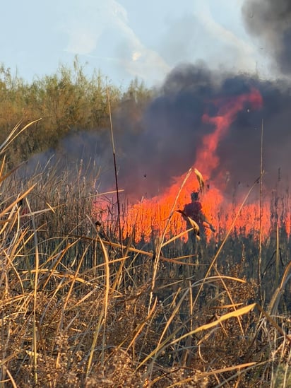 Seguridad