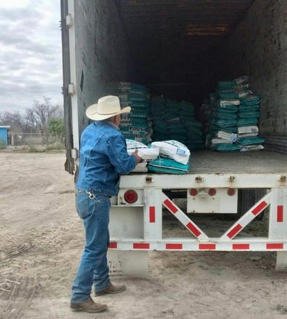 Programa estatal impulsa siembra de sorgo