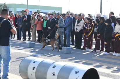 El 105 Batallón de Infantería 