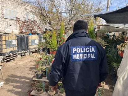 Seguridad