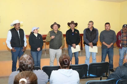 Brigada