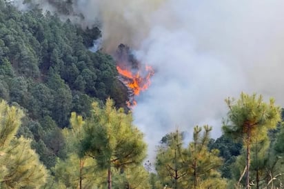 Combaten incendio forestal en la Sierra Negra de Puebla; afecta 150 hectáreas