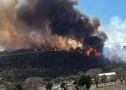 Reportan 90% de control en incendio forestal de Oriental, Puebla