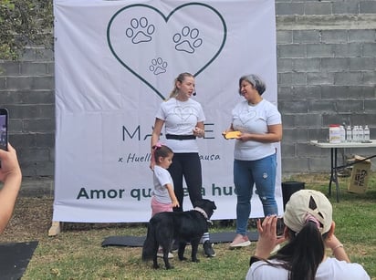 Esterilización