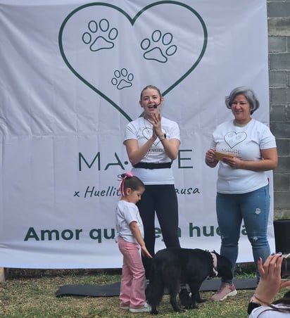 Esterilización