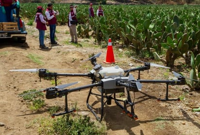 Estudian implementación de drones agrícolas