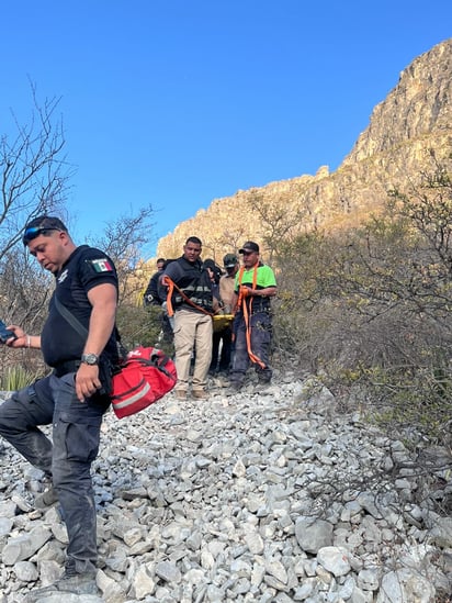 seguridad