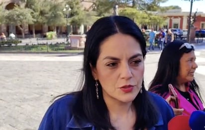 Constitucionalidad: La diputada, Luz Elena Morales, señaló que no hay margen para que los Poderes Legislativos locales realicen modificaciones. Constitucionalidad: La diputada, Luz Elena Morales, señaló que no hay margen para que los Poderes Legislativos locales realicen modificaciones.