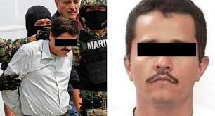 seguridad seguridad