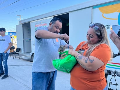 sobrepoblación animal