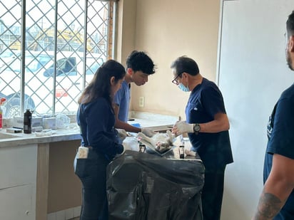 Esterilización