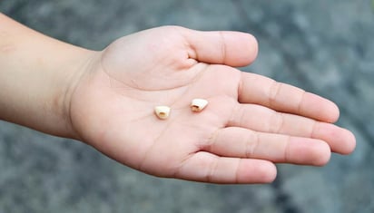 Los dientes deciduos revelan el impacto permanente del plomo en la cognición