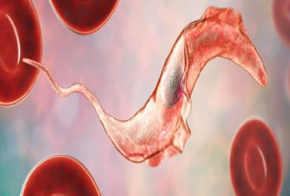 La carga económica de la enfermedad de Chagas crónica