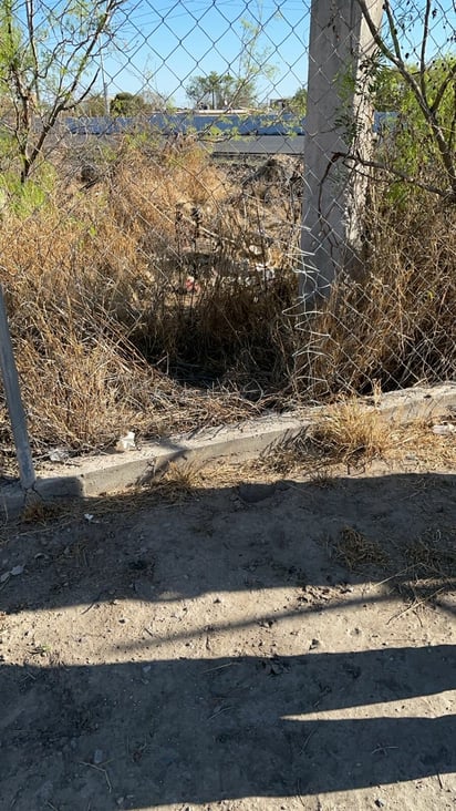 Seguridad