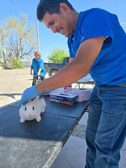 Nava refuerza bienestar animal con jornada gratuita y preventiva
