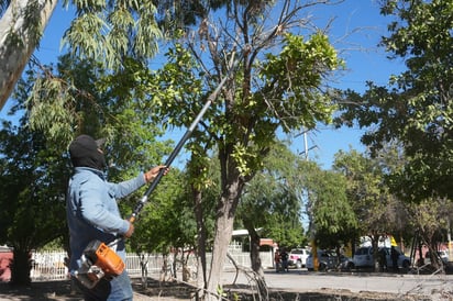 Brigada Municipal 