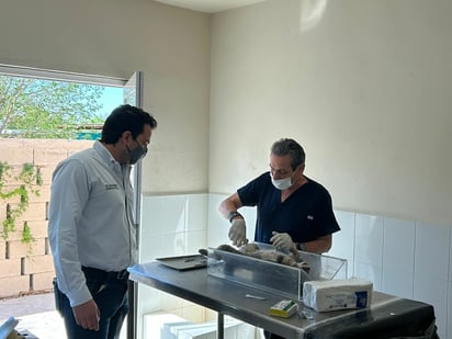 Esterilización