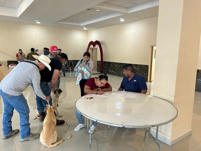 Esterilización