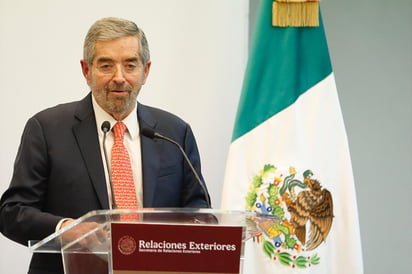 ICE: Se utilizarán todas las vías legales posibles para asegurar el acompañamiento a los familiares\', dijo la SRE