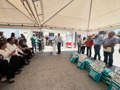 sorgo forrajero